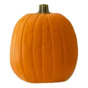 008 CLASSIC ORANGE 13.25"H - in stock