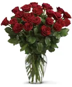 24 RED ROSES( NO FILLER)