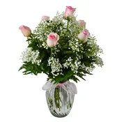 1/2 Dozen Roses Pink