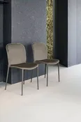 Abba