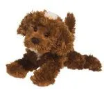 Bosco Chocolate Labradoodle