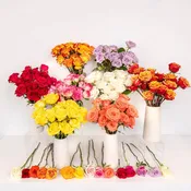 200 Roses for Mother's Day