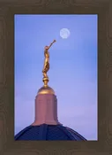 Tucson Trumpet Moon