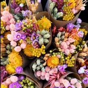Solstice Meadow Everlasting Dried Flower Bouquet
