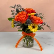 Citrus Delight