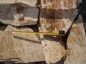 Cherry Log Large