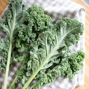 Blue Scotch Curled Kale