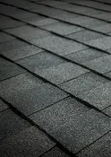 Tamko Heritage<br>Virginia Slate