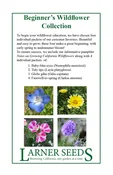 Beginner's Wildflower Collection