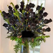 48 Long Stem Black Roses arranged in a vase