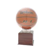 Basketball Display Case or Soccer Ball Display Case Awards