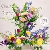 Color Story