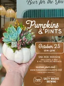October 25 | Pumpkins & Pints (Salty Walrus Brewing, Visalia) — Sugar's Succulents