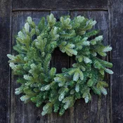 24" Blue Spruce Wreath