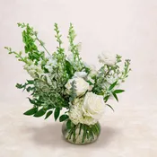 White Garden -Standard