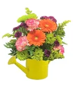 SPRING WATERING CAN