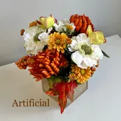 FALL-02
