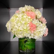 Small Hydrangea Arrangement — BLOOMS BY BAHRAM
