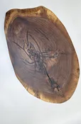 Black Walnut Oval Burl Lazy Susan