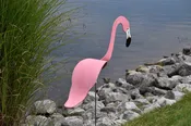 Dancing Birds