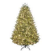 7.5′ Pomona Fir – DTE Exclusive!