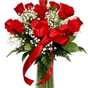 Dozen long Stemmed Red Roses with Baby's Breath