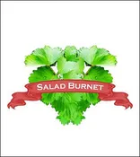 Burnet Seed. Organic Salad Burnet. Heirloom. Pkt.