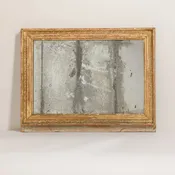 1820 French Century Mercury Glass Gilt Mirror