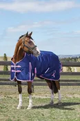 WB 1200D Breast Cancer Foundation Turnout Sheet