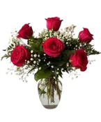Half Dozen Hot Pink Roses