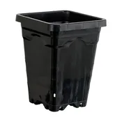 Active Aqua 5″x5″ Square Black Container