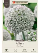 Allium 'Ping Pong' - Bulb Pack