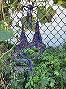 AMALYA MEIRA Moss Bikini — LAGOON