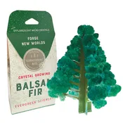 Copernicus Crystal Growing Balsam Fir - Grow a Tree