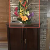 Heliconia, Bird Beak, and Ginger Garden.