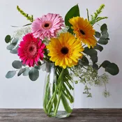 Gerber Daisy Arrangement