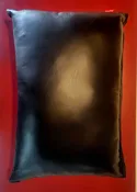 Leather Pillow