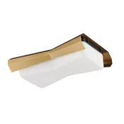 Maxim 10819SWBKAB Rizzo 2 Light Flush Mount | Black / Antique Brass
