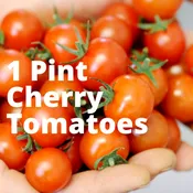 Cherry Tomato Pints — Olivia's Garden
