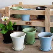 Audrey Planter