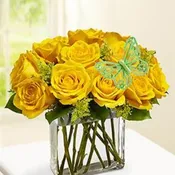 Modern Roses One Dozen Yellow