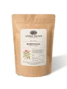 Bobinsana Bark - Botanical Ally for Dreamwork and Reflection