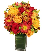 COLORFUL CANVAS