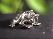 Pendant – Slender Frog From India