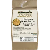 Ancient Grain Khorasan Wheat Berries - 5 lb. Bag - Wholesale