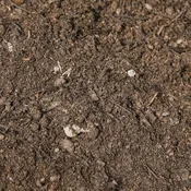Master Blend Turf Mix (70% Soil/30% Compost) Bulk