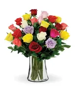 12 Multi Color Long Stem Roses