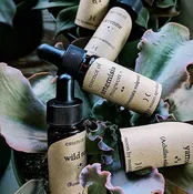 Autumn Waters: Essences &amp; Energetic Remedies for the Season