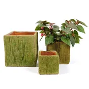 AGED MEZQUITE PLANTER