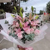 Lily Love